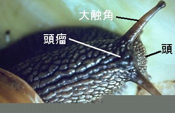 nantai02[1].jpg